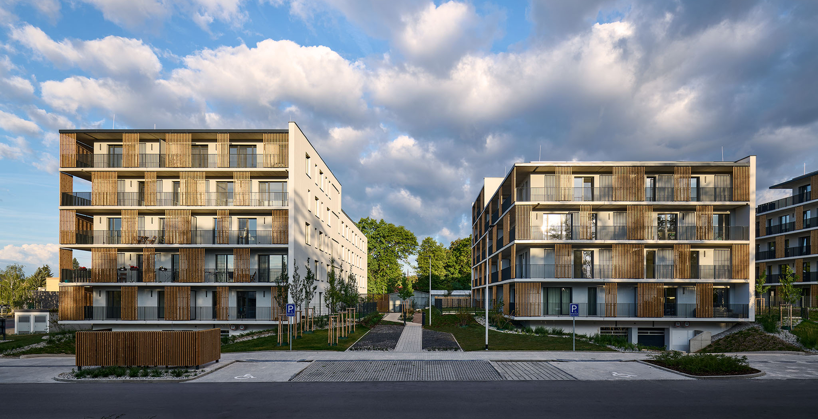 _tom5179-kopie-2