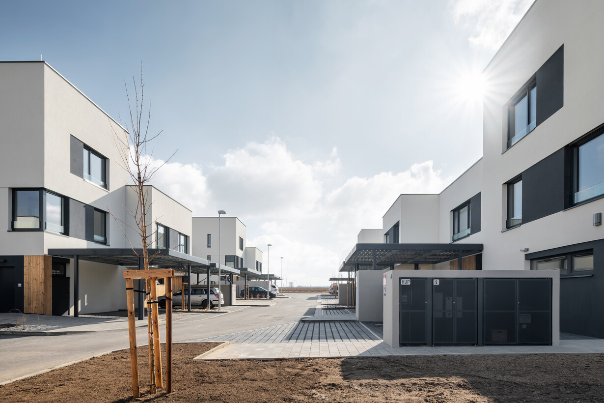 01_tom5359-edit-2-kopie-2