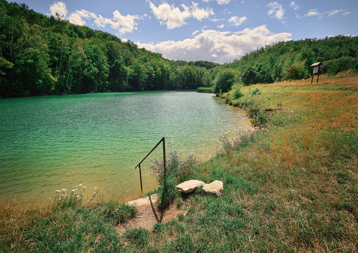 Natural swimming within reach
