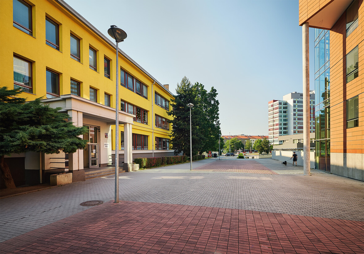 Školy