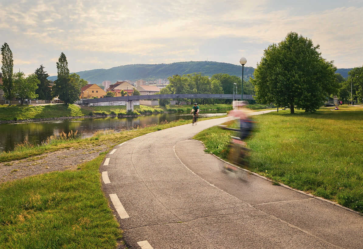 Go for a bike ride